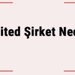 Limited Şirket Ne Demek? 2026 Rehberi: Kurulum, Avantajlar ve Maliyetler